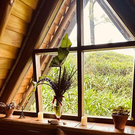 Villa 47 Nuwaraeliya نوفارا إيلِيا المظهر الخارجي الصورة