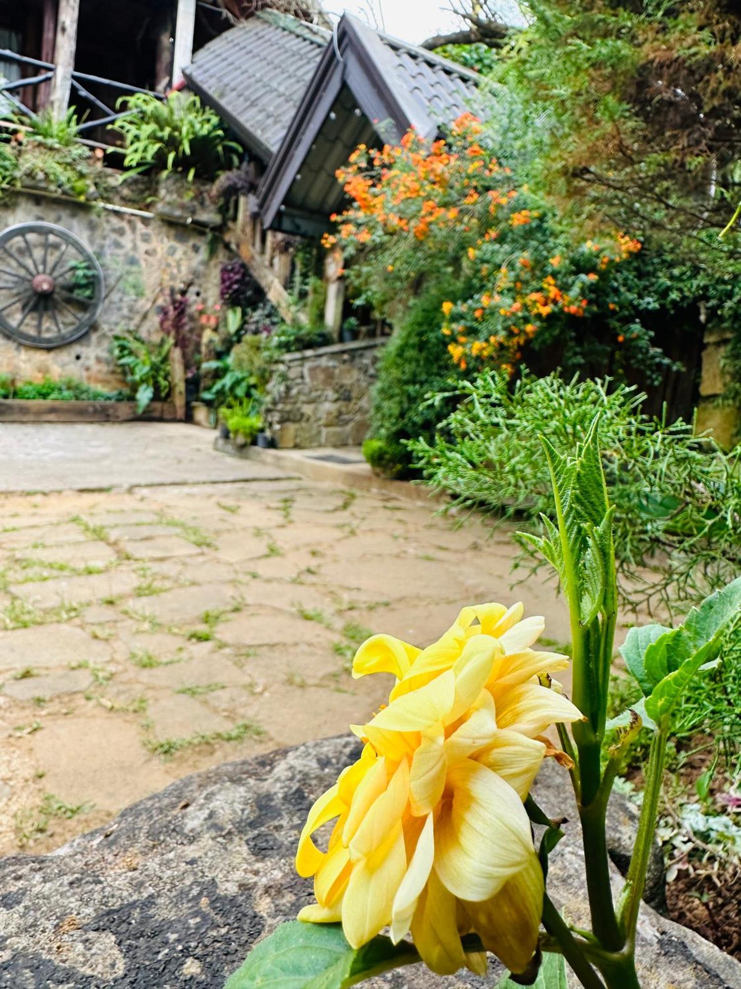 Villa 47 Nuwaraeliya نوفارا إيلِيا المظهر الخارجي الصورة
