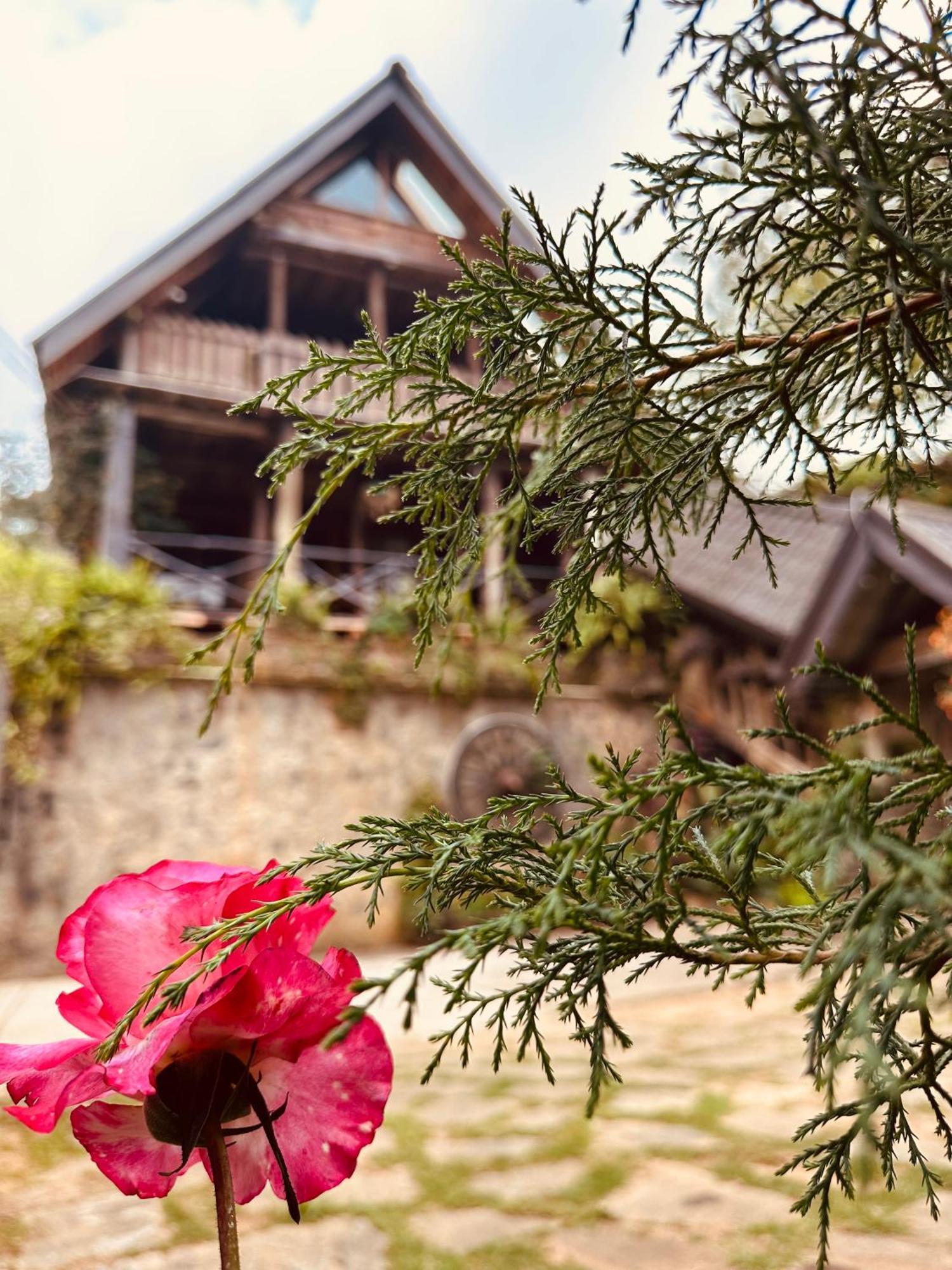 Villa 47 Nuwaraeliya نوفارا إيلِيا المظهر الخارجي الصورة