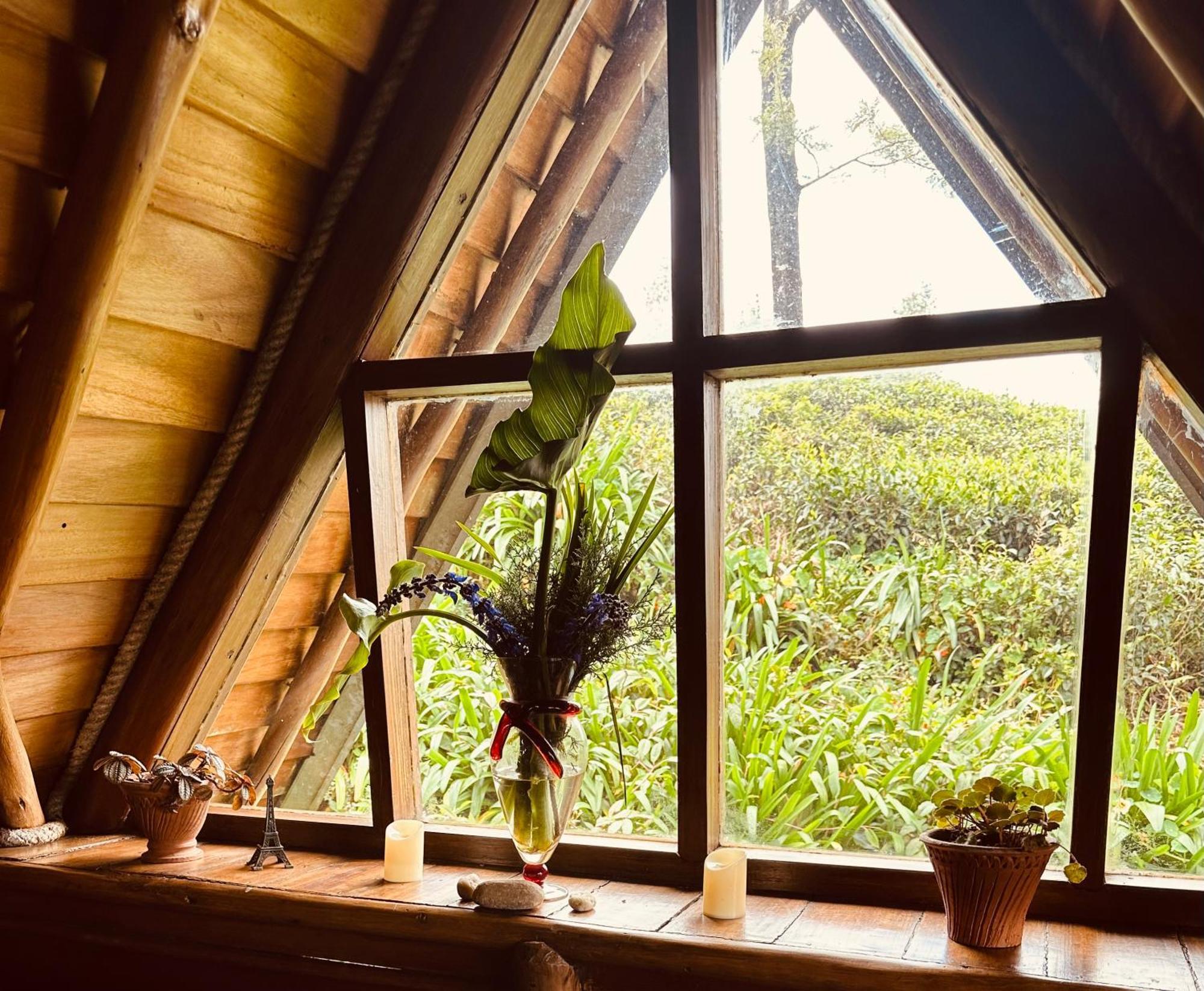 Villa 47 Nuwaraeliya نوفارا إيلِيا المظهر الخارجي الصورة