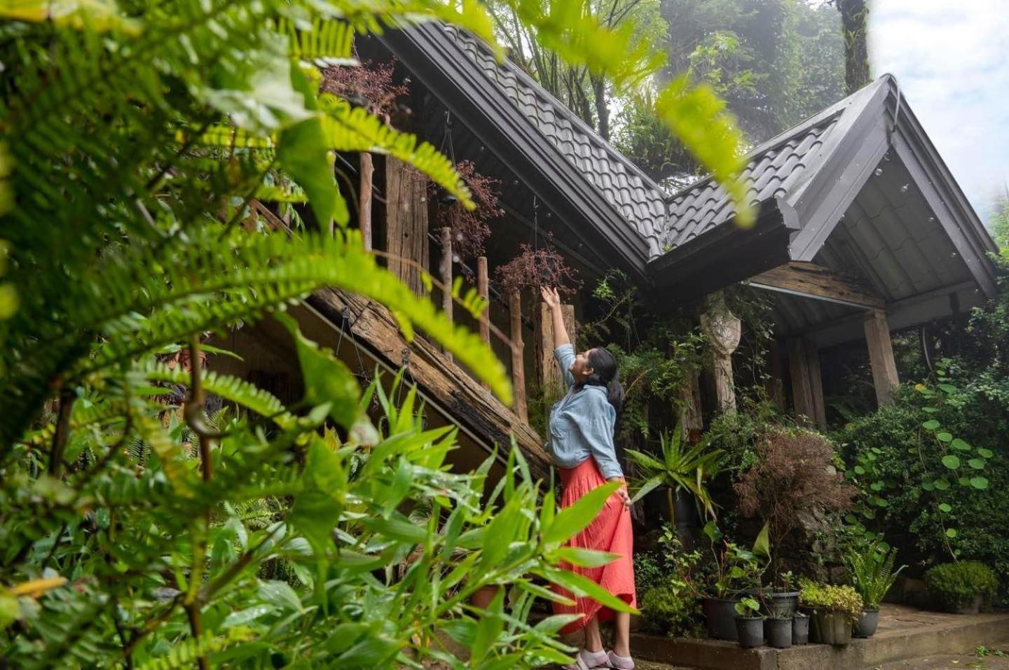 Villa 47 Nuwaraeliya نوفارا إيلِيا المظهر الخارجي الصورة