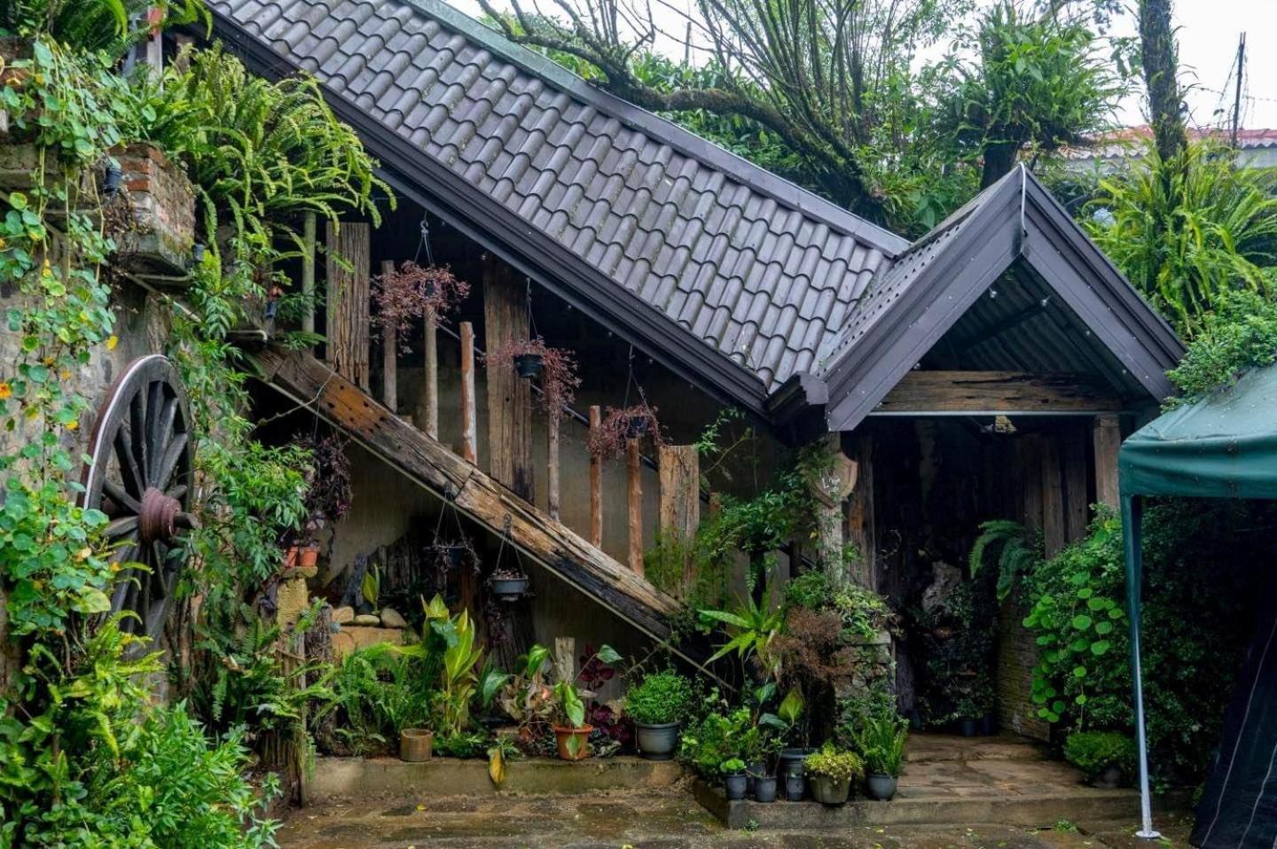 Villa 47 Nuwaraeliya نوفارا إيلِيا المظهر الخارجي الصورة